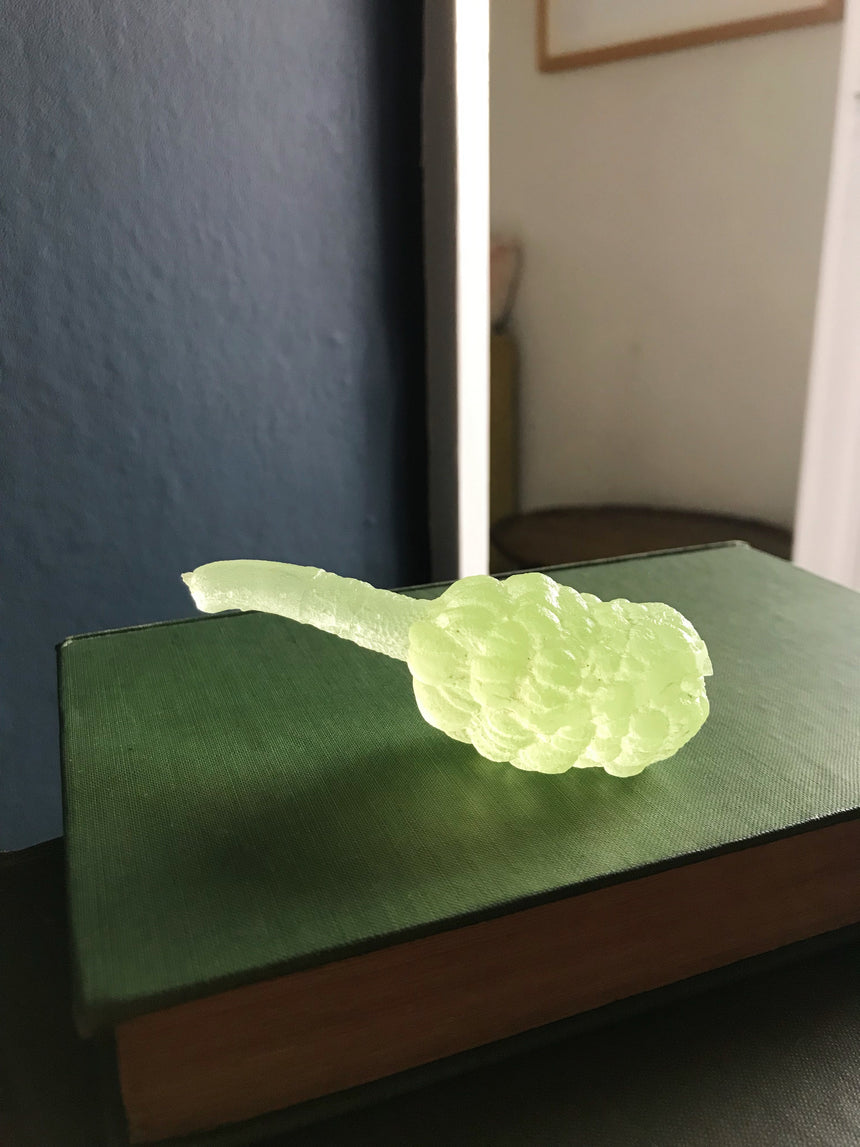 Magnolia Pod