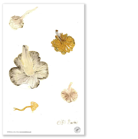 Transformative Tea Towel Collection - Effie Burns